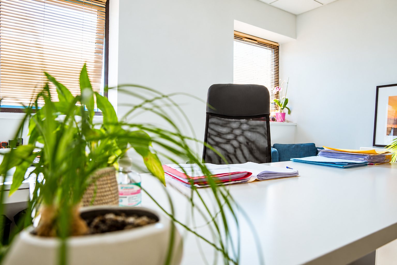 Bureau lumineux avec fauteuil, dossiers colorés et plante verte.
